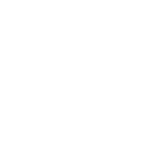 BLINDEYEUSA